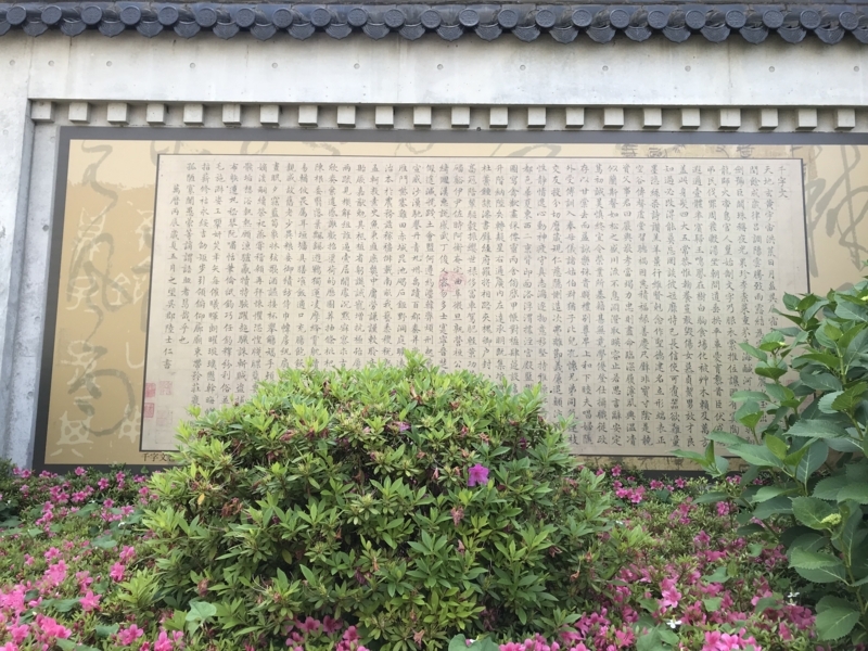 f:id:myhitachi:20180612181607j:plain f:id:myhitachi:20180612181607j:plain