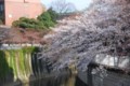 20090329153551
