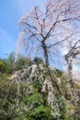 20090329154736
