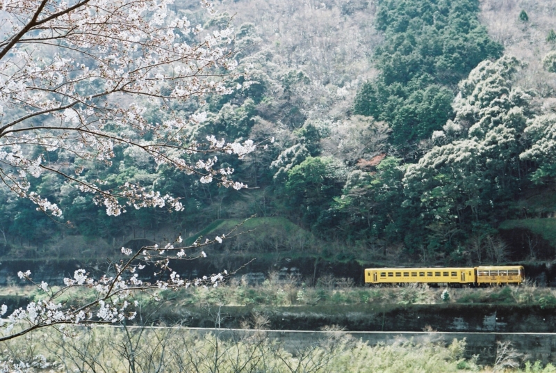 f:id:myinterestsdiary:20150503082247j:plain f:id:myinterestsdiary:20150503082247j:plain