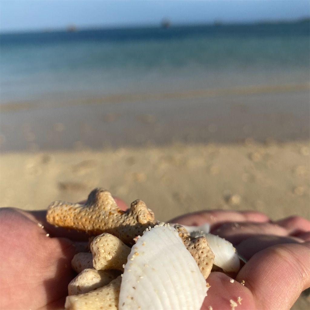 f:id:myk20191006:20200215111117j:image