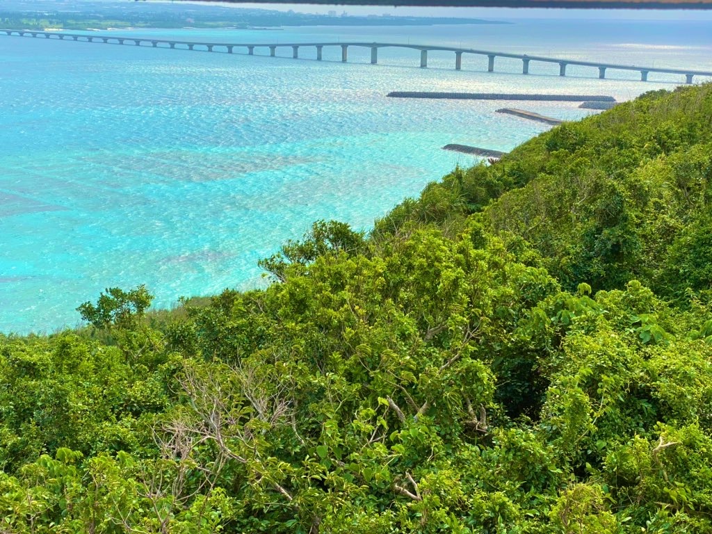 f:id:myk20191006:20200312213950j:image