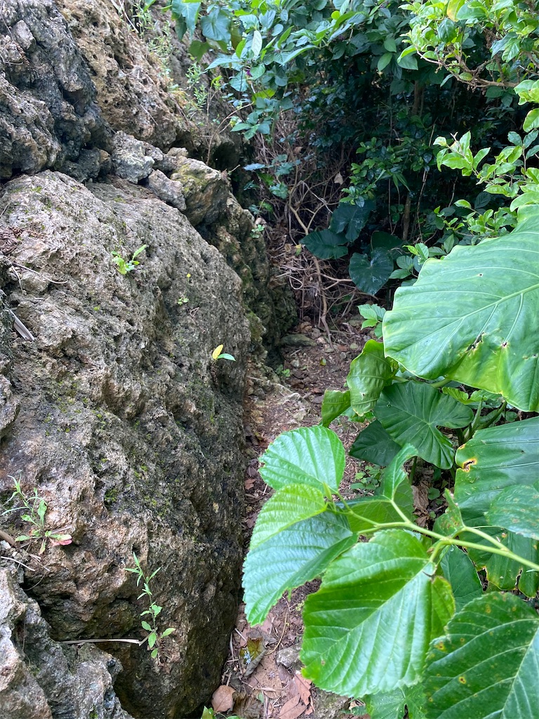 f:id:myk20191006:20200423191745j:image