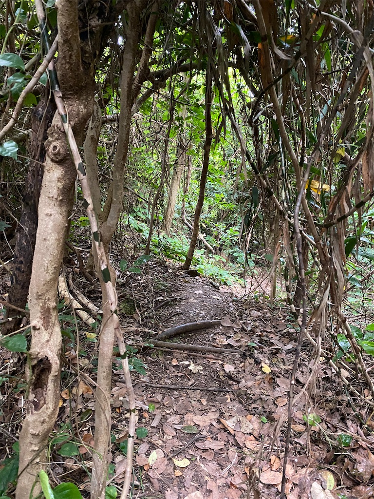 f:id:myk20191006:20200423191801j:image