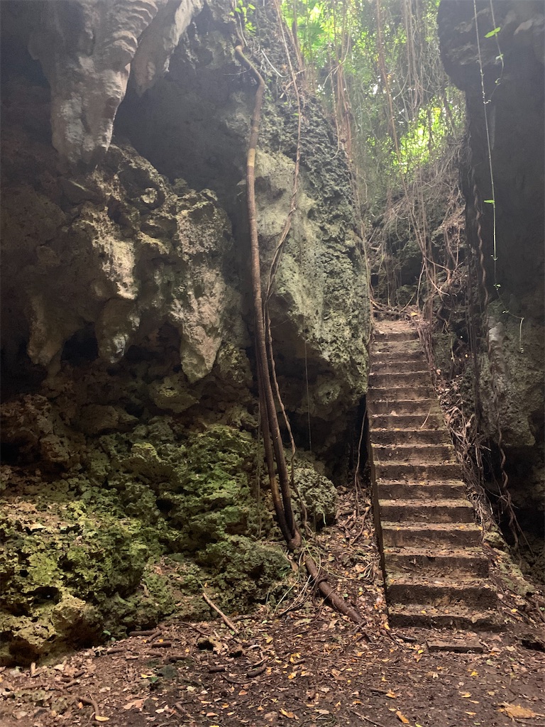 f:id:myk20191006:20200423191815j:image