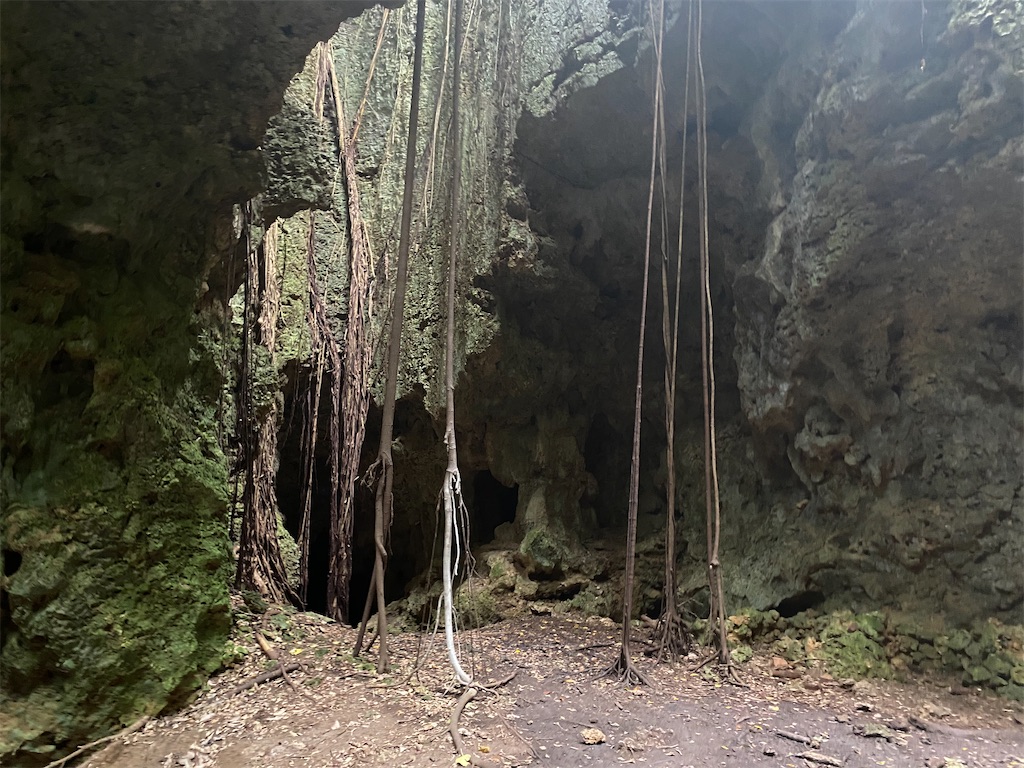 f:id:myk20191006:20200423202547j:image