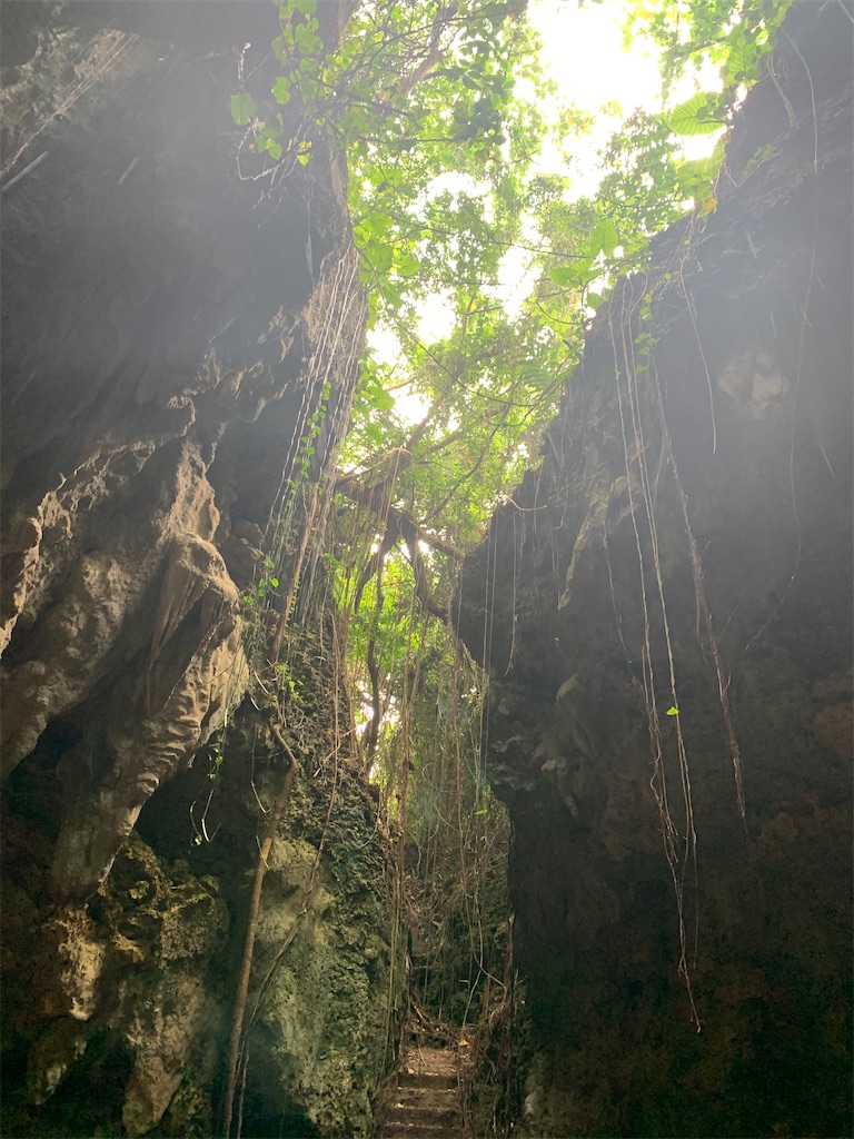 f:id:myk20191006:20200423202806j:image