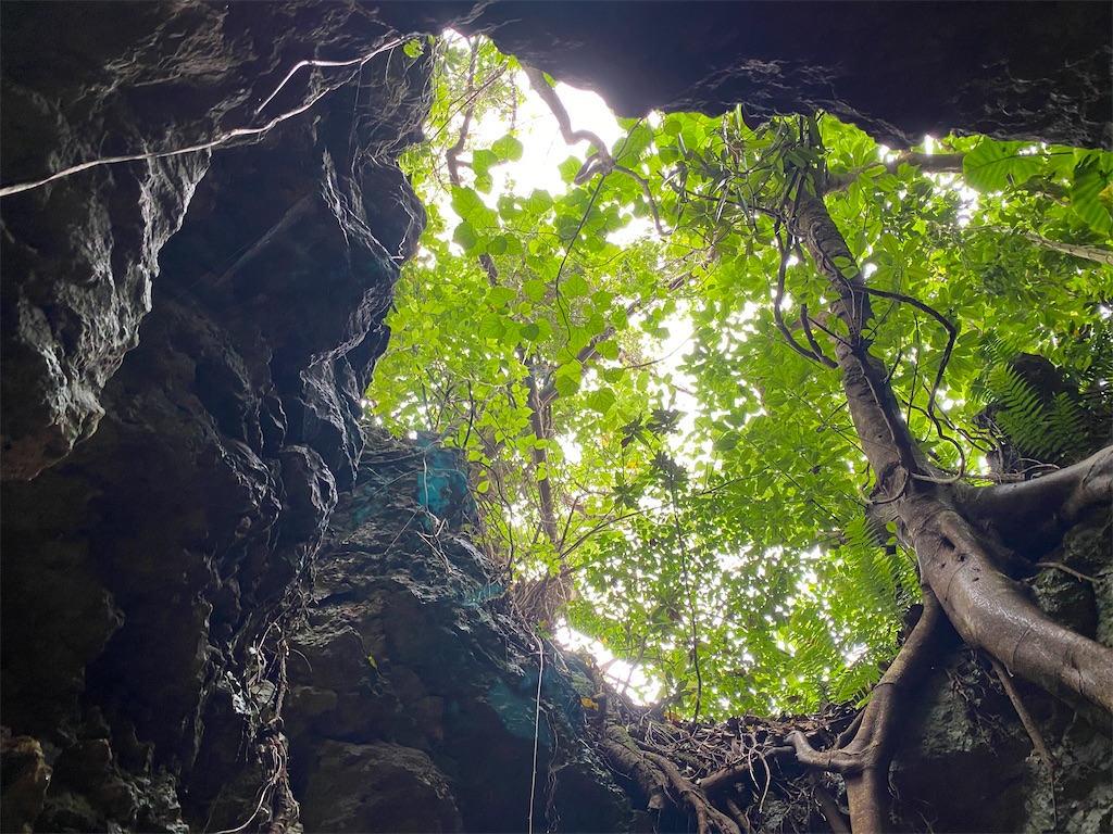 f:id:myk20191006:20200423202925j:image