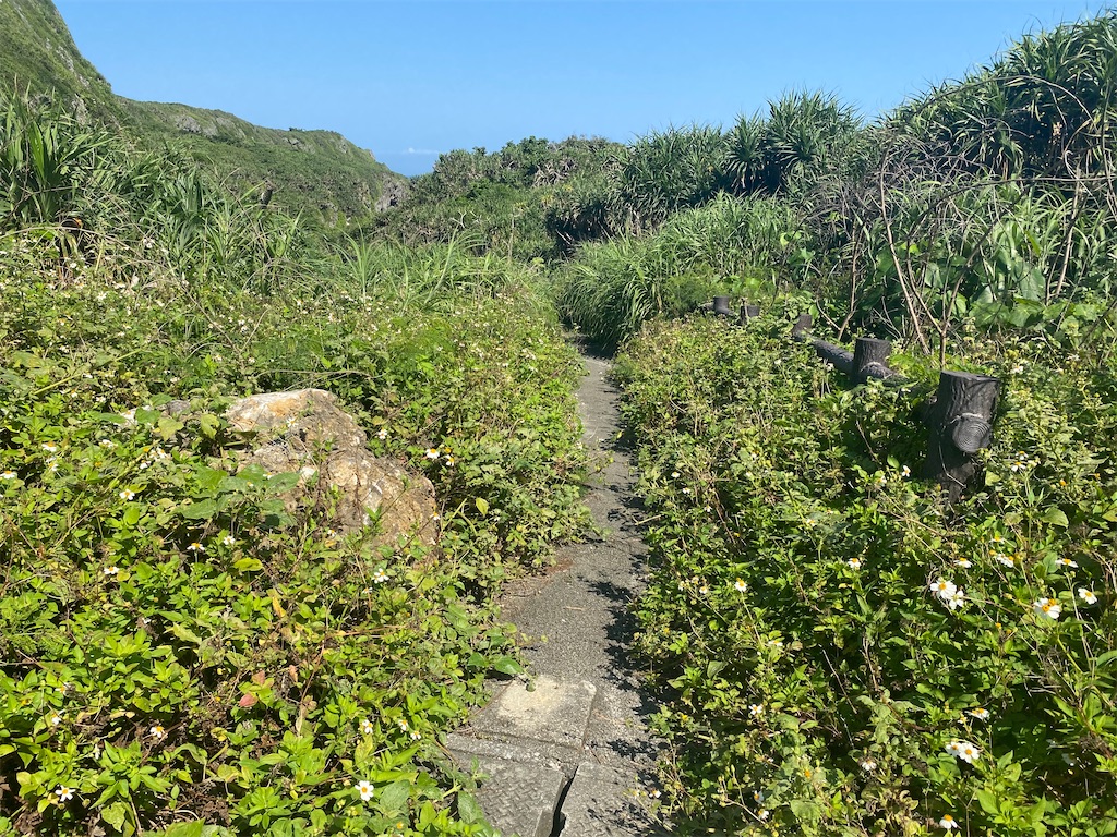 f:id:myk20191006:20200506133732j:image f:id:myk20191006:20200506133732j:image
