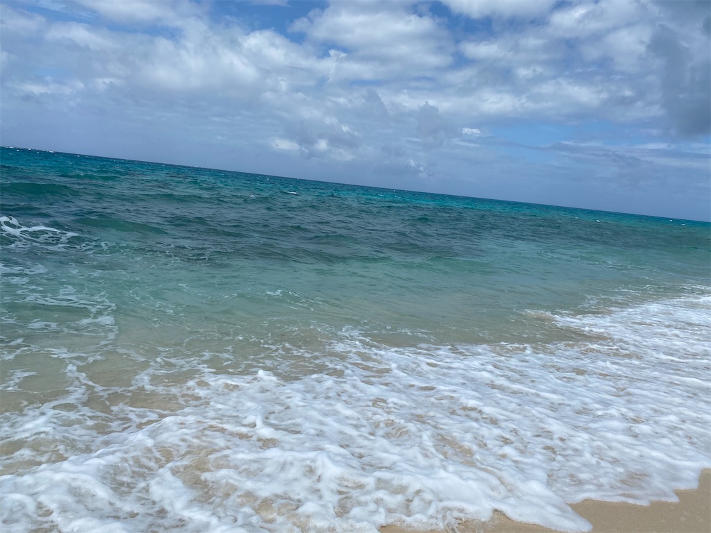 f:id:myk20191006:20200601194349j:image f:id:myk20191006:20200601194349j:image