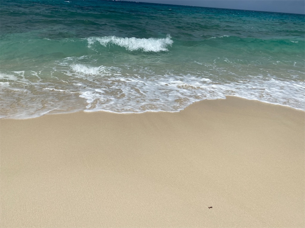 f:id:myk20191006:20200601194454j:image f:id:myk20191006:20200601194454j:image