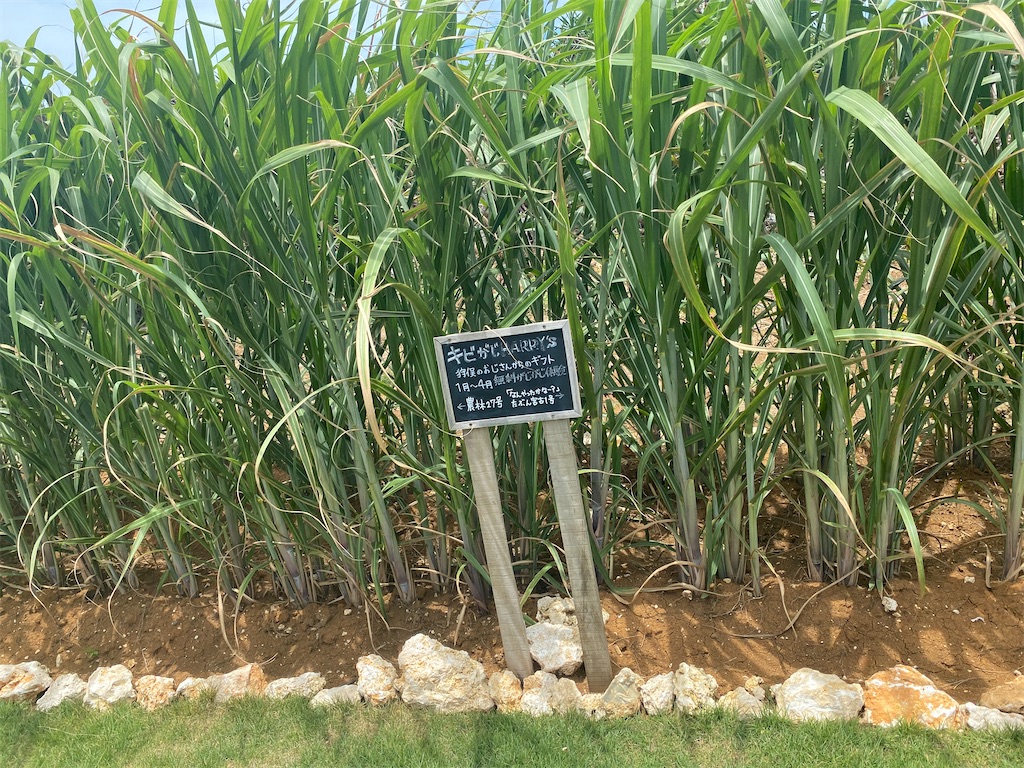 f:id:myk20191006:20200713180116j:plain