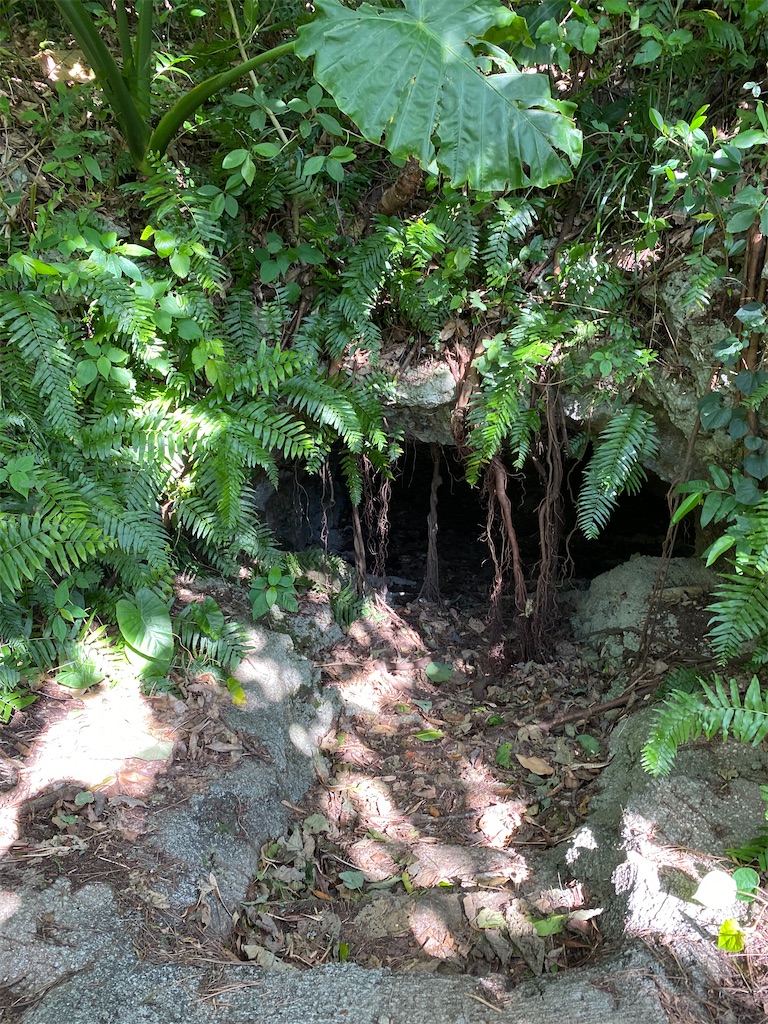 f:id:myk20191006:20210228134915j:plain