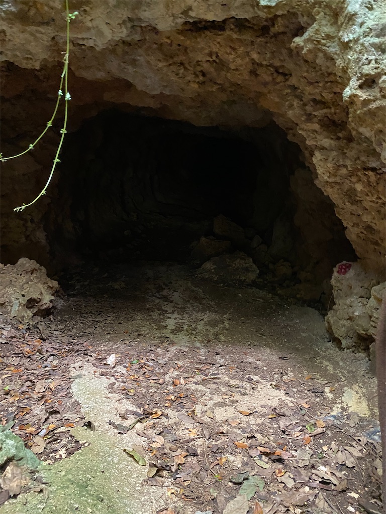 f:id:myk20191006:20210228134922j:plain