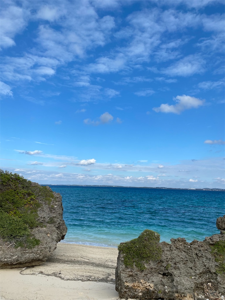 f:id:myk20191006:20220108175554j:plain