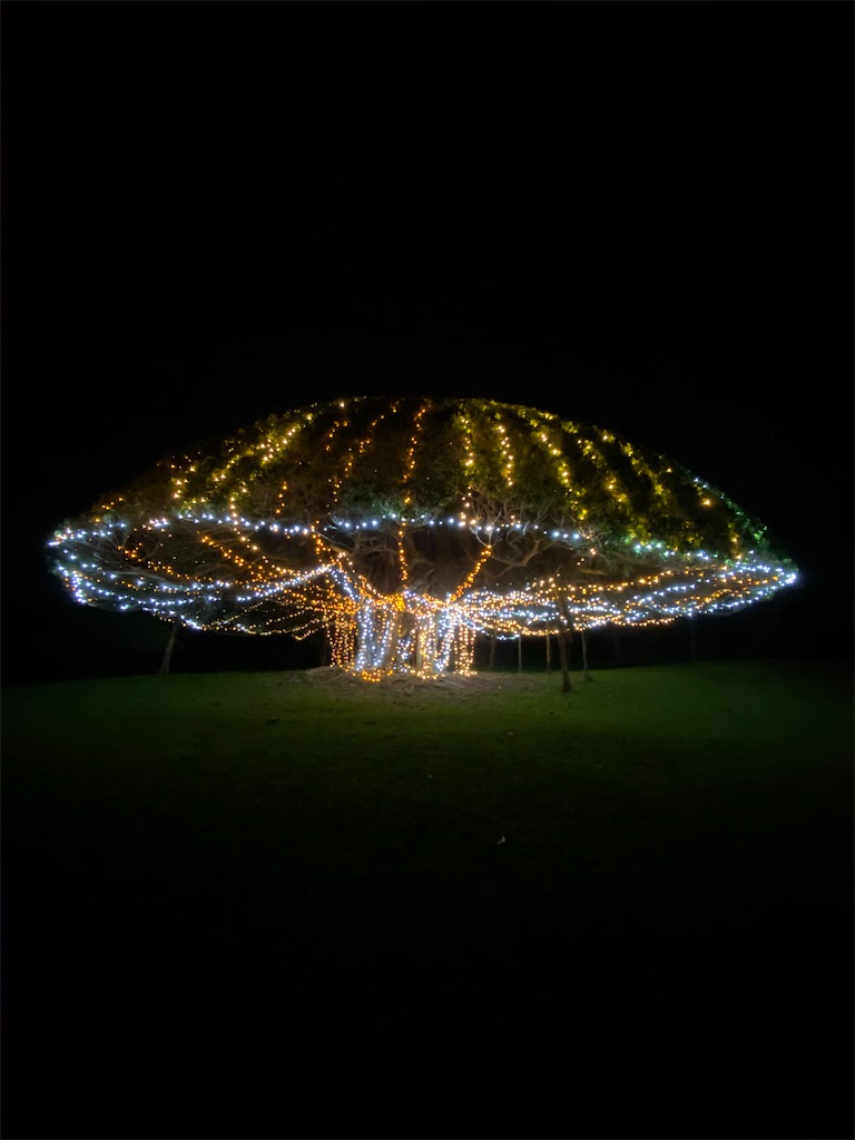 f:id:myk20191006:20220108180757j:plain