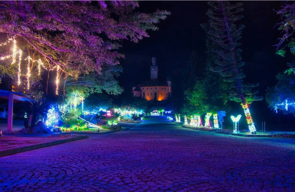 f:id:myk20191006:20220108181216j:plain