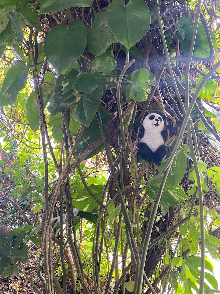 f:id:myk20191006:20220310163917j:plain