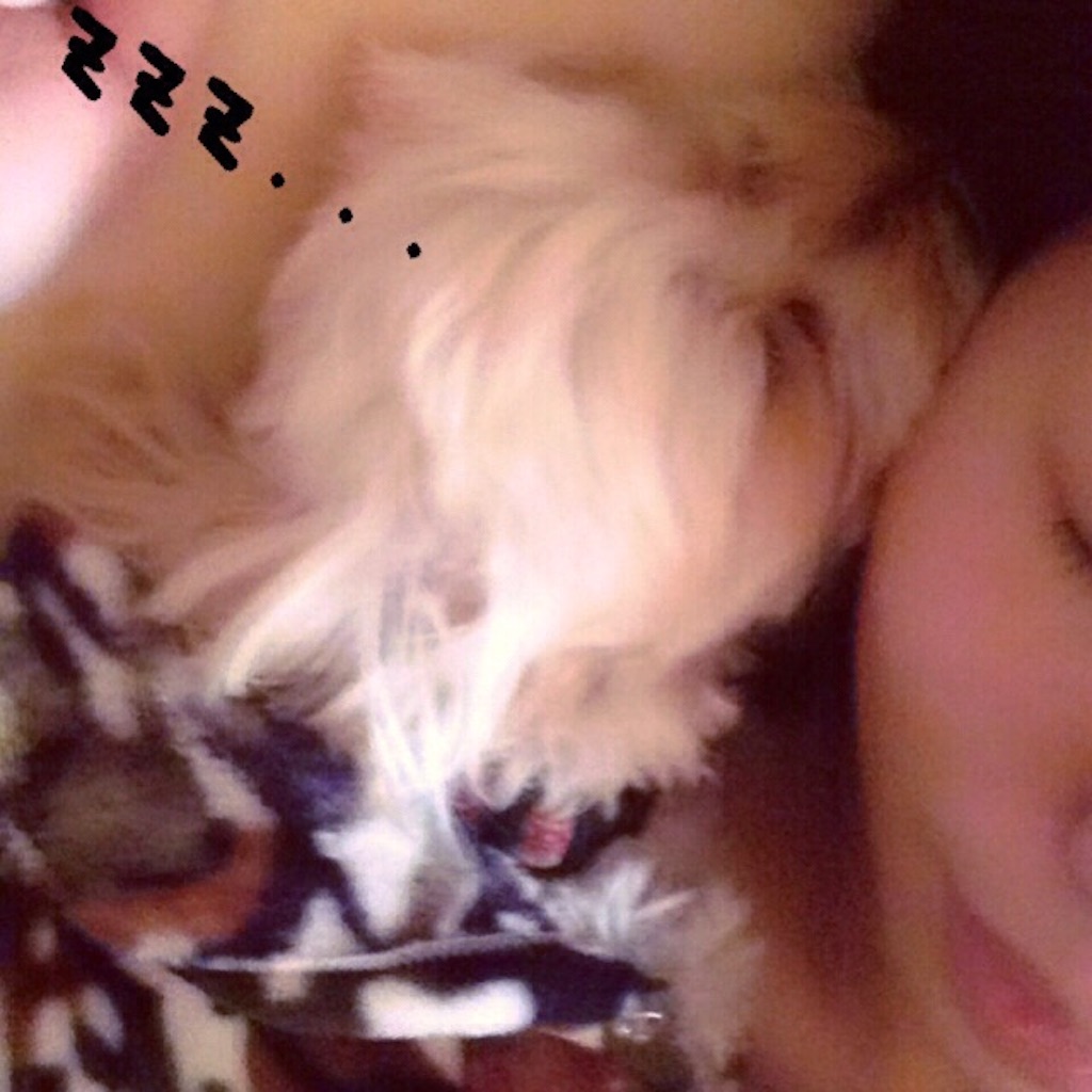 f:id:mykotoba:20160417194006j:image f:id:mykotoba:20160417194006j:image