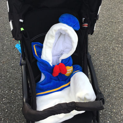 ディズニーランドで 1歳が乗れるアトラクションは プーさんにも楽しく乗れたよ むきだしのことば ワーママえむのブログ ディズニーランドで 1歳が乗れるアトラクションは プーさんにも楽しく乗れたよ むきだしのことば ワーママえむのブログ