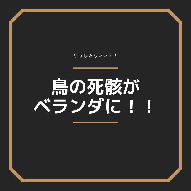 鳥の死骸の回収先