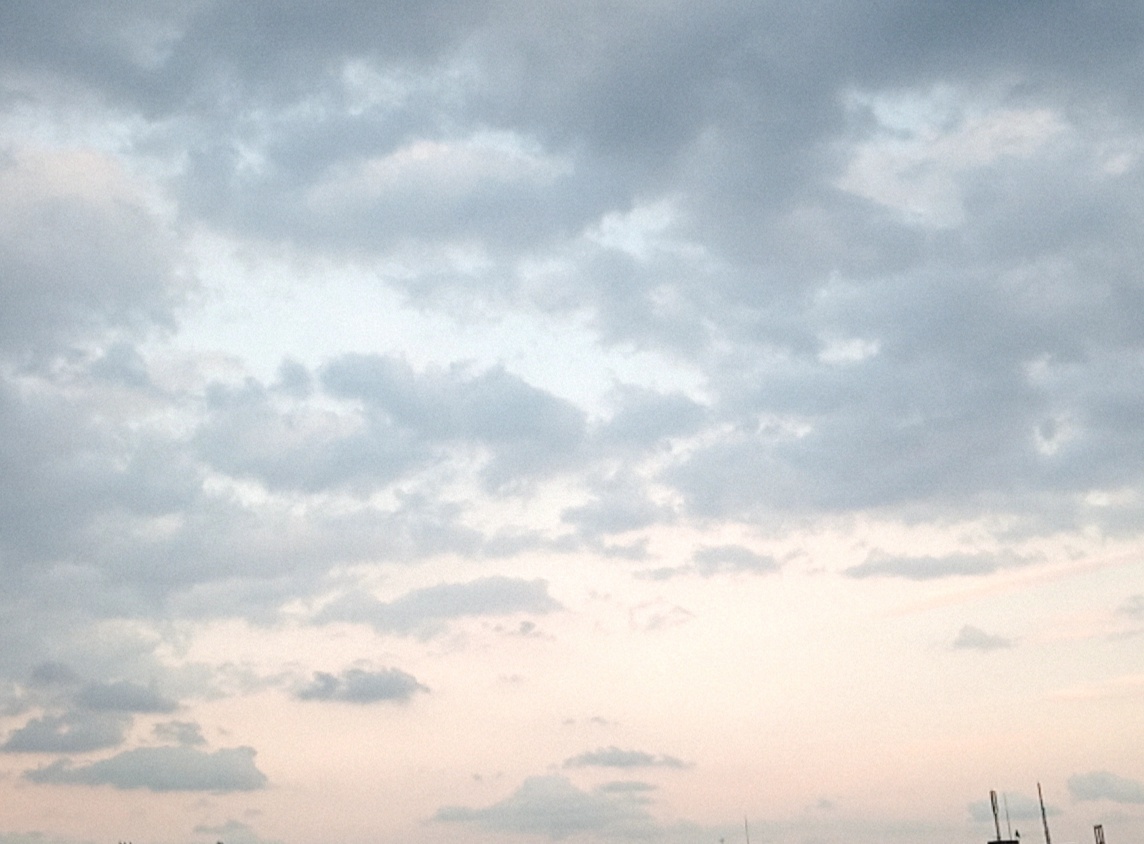 f:id:myksg-shelf:20191230174046j:plain f:id:myksg-shelf:20191230174046j:plain