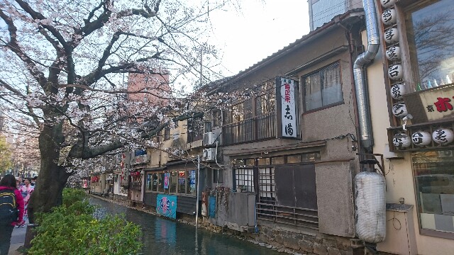 f:id:mykyoto075:20170404222158j:image f:id:mykyoto075:20170404222158j:image