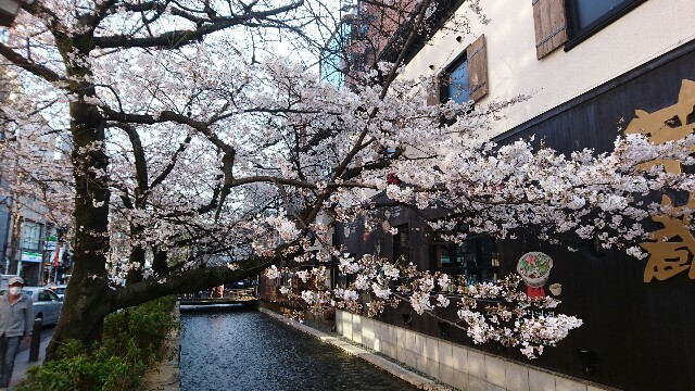 f:id:mykyoto075:20170404222405j:image f:id:mykyoto075:20170404222405j:image