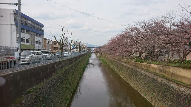 f:id:mykyoto075:20170405165638j:image f:id:mykyoto075:20170405165638j:image