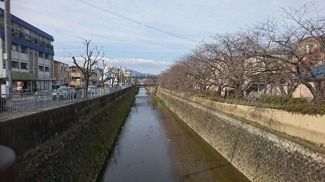 f:id:mykyoto075:20170405165730j:image f:id:mykyoto075:20170405165730j:image
