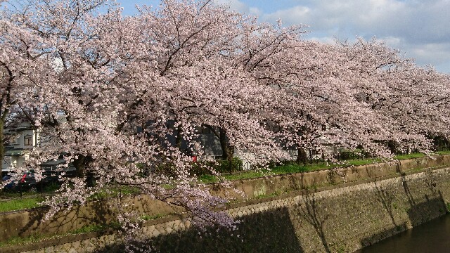 f:id:mykyoto075:20170412200832j:image f:id:mykyoto075:20170412200832j:image