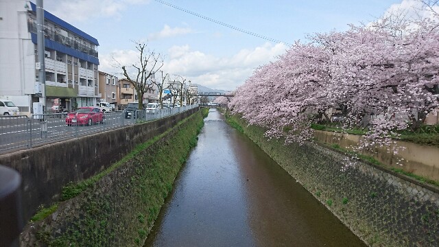 f:id:mykyoto075:20170412200852j:image f:id:mykyoto075:20170412200852j:image