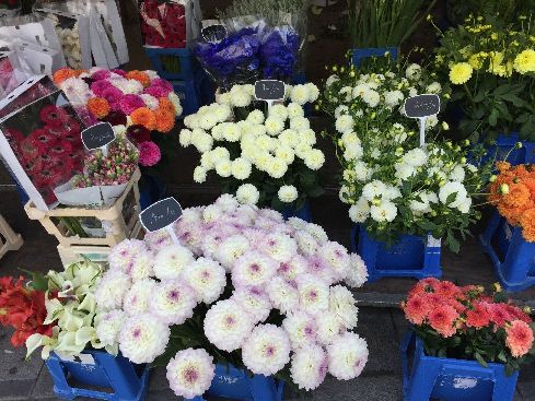 f:id:mylifeafterbc:20180909062910j:plain