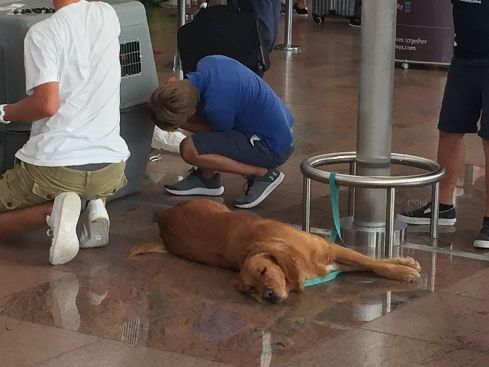 f:id:mylifeafterbc:20180909073009j:plain