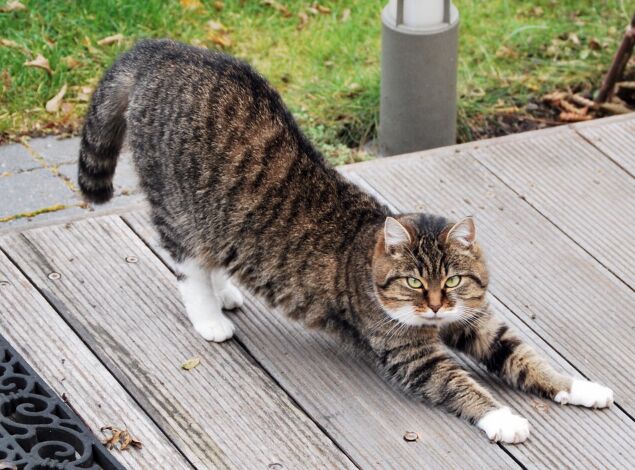 f:id:mylifeafterbc:20181024150640j:plain f:id:mylifeafterbc:20181024150640j:plain