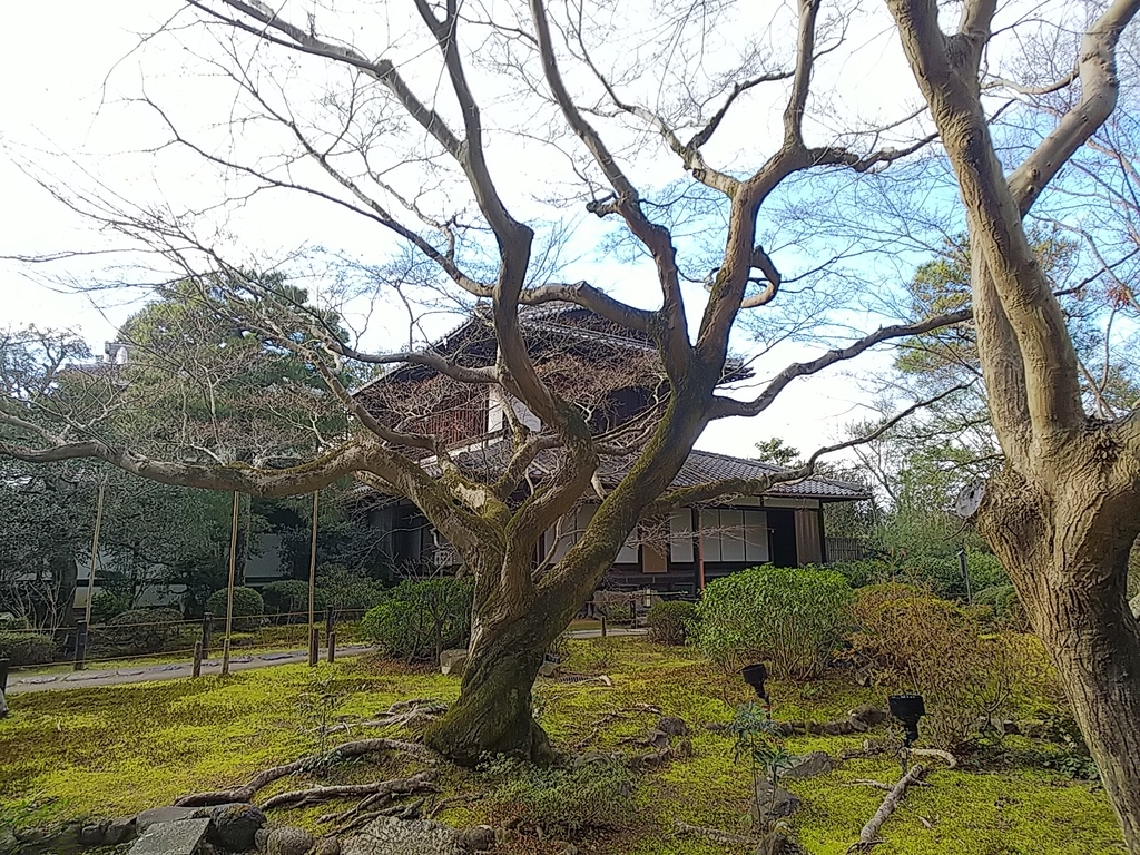 f:id:mylifeafterbc:20190217012442j:plain f:id:mylifeafterbc:20190217012442j:plain