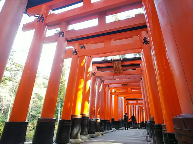 f:id:mylifeafterbc:20190223103306j:plain f:id:mylifeafterbc:20190223103306j:plain