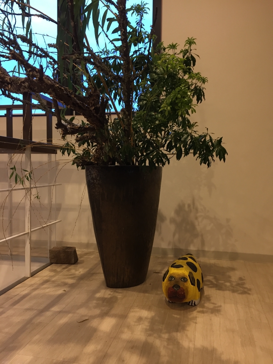 f:id:mylifeafterbc:20190415001300j:plain f:id:mylifeafterbc:20190415001300j:plain