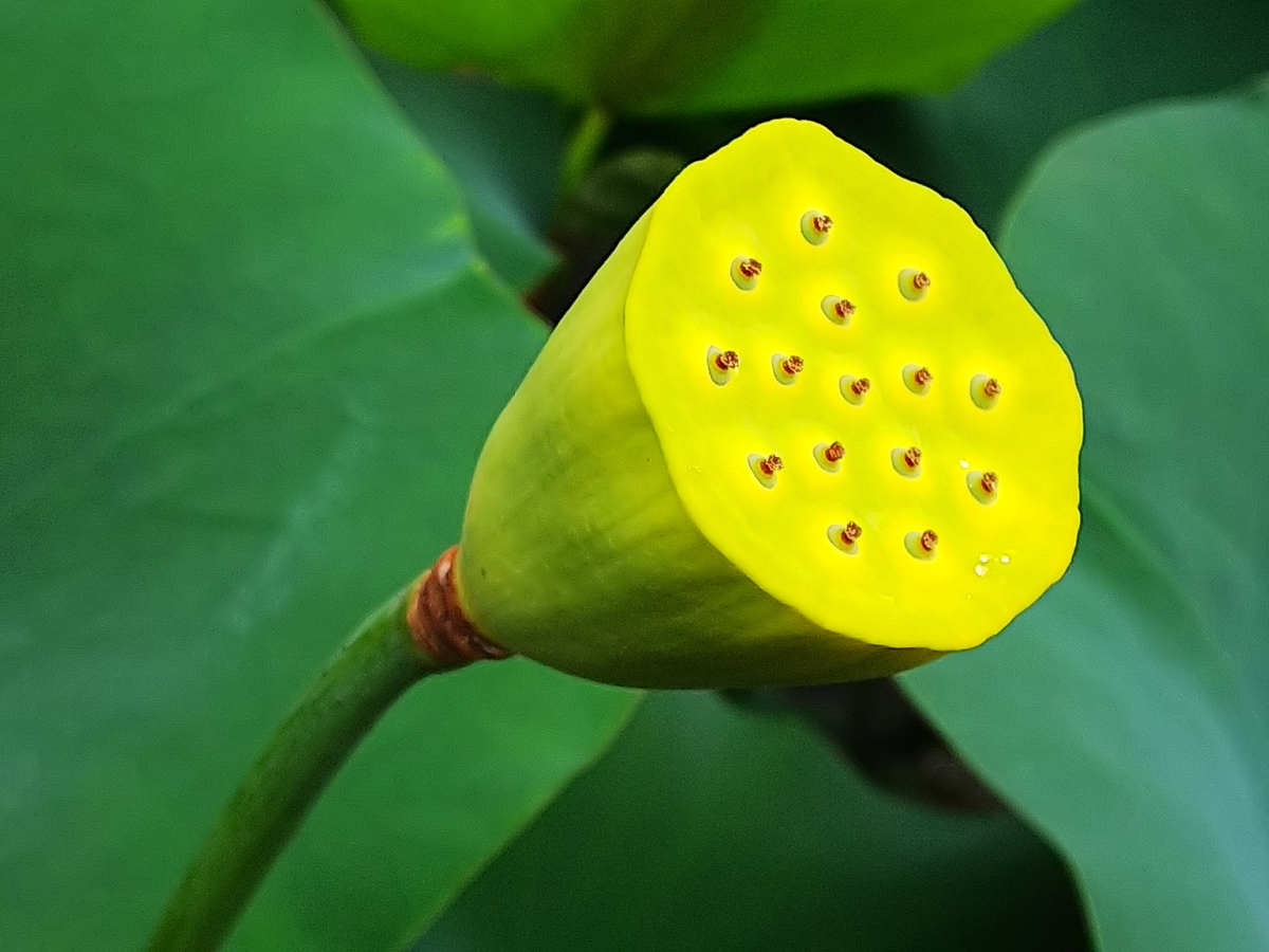 f:id:mylifeafterbc:20190810220320j:plain