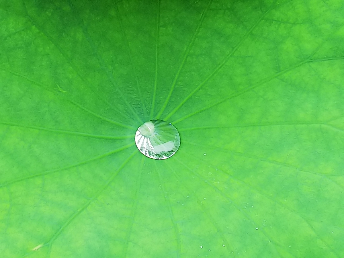 f:id:mylifeafterbc:20190810220350j:plain