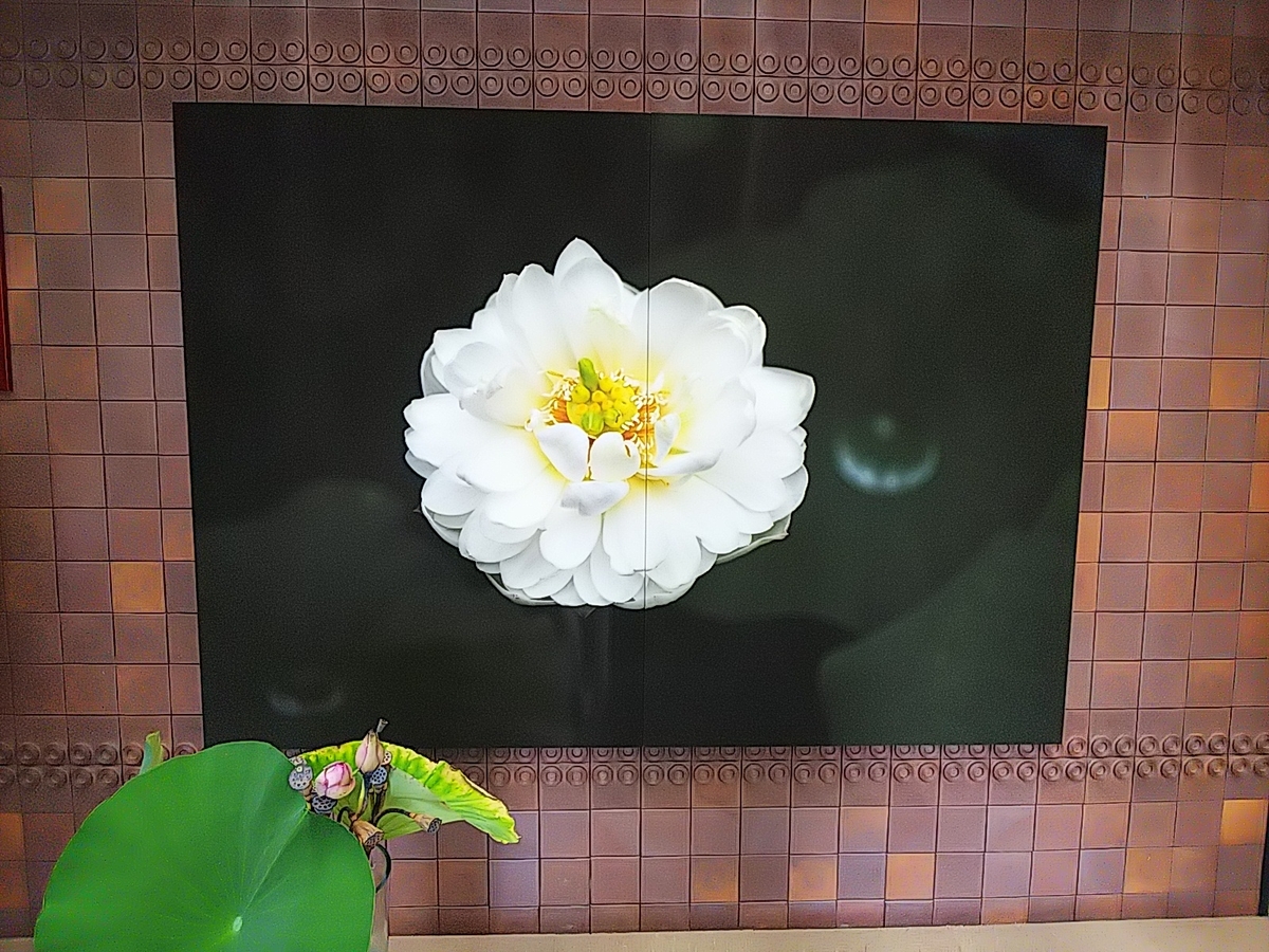 f:id:mylifeafterbc:20190810220506j:plain