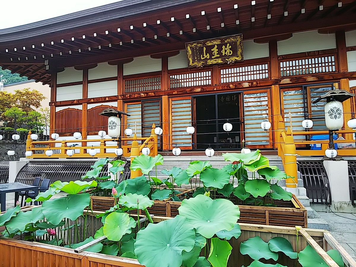 f:id:mylifeafterbc:20190810220550j:plain