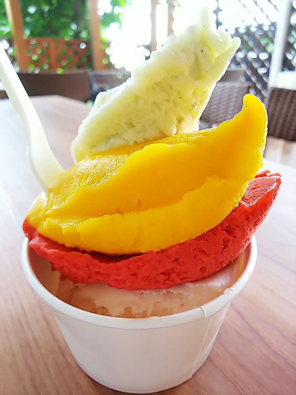 f:id:mylifeafterbc:20190811231231j:plain f:id:mylifeafterbc:20190811231231j:plain