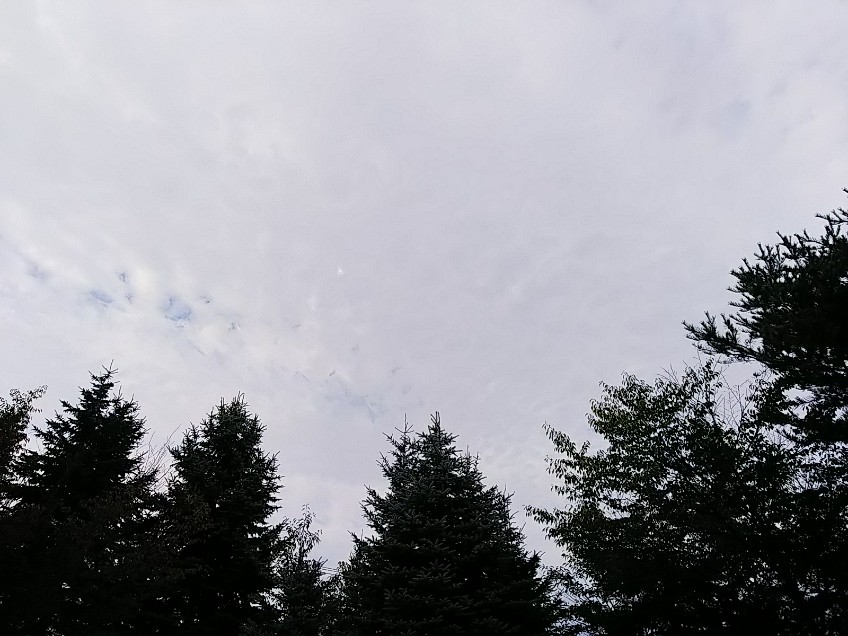 f:id:mylifeafterbc:20191018090353j:plain f:id:mylifeafterbc:20191018090353j:plain