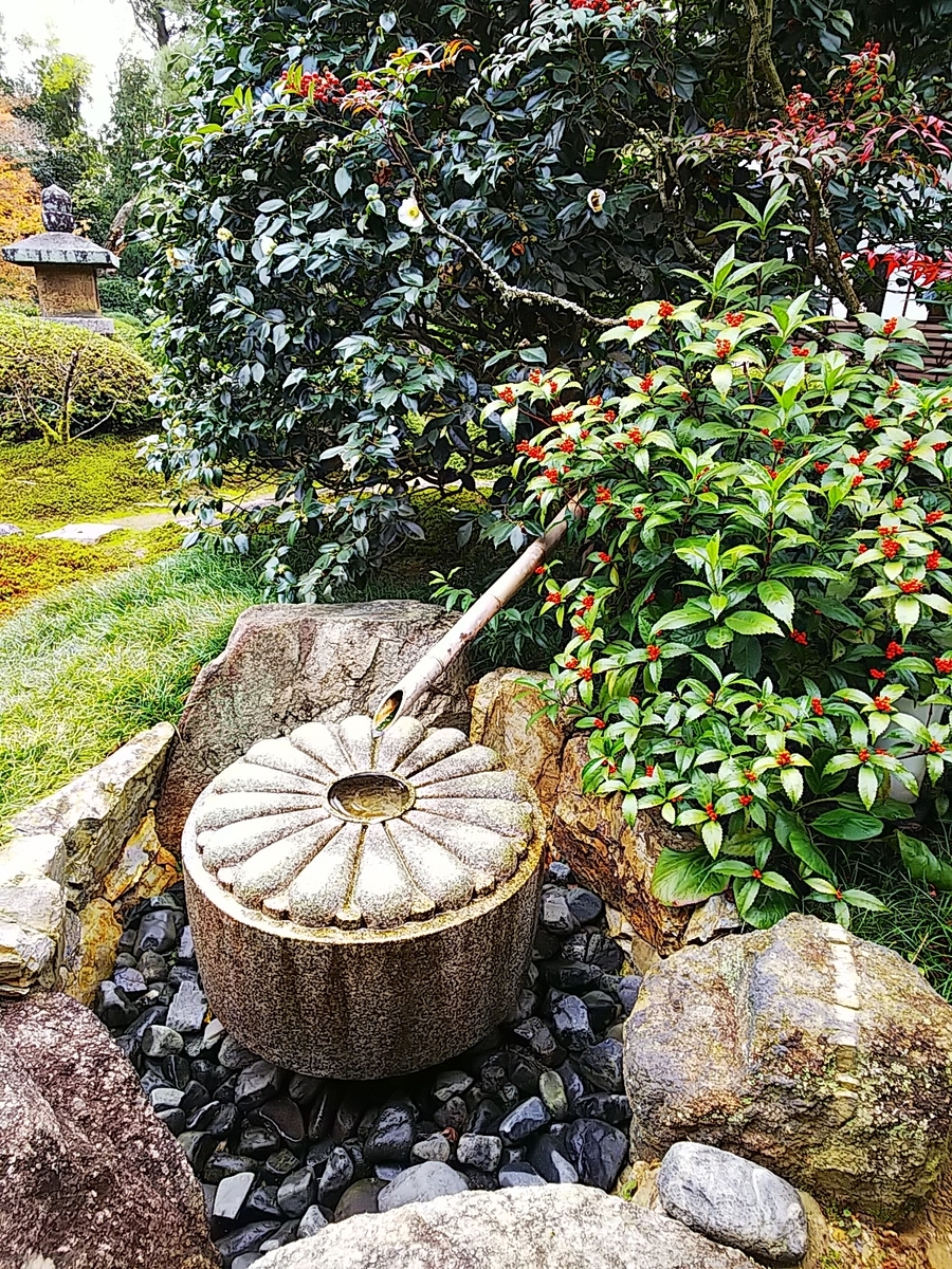 f:id:mylifeafterbc:20191208233432j:plain f:id:mylifeafterbc:20191208233432j:plain
