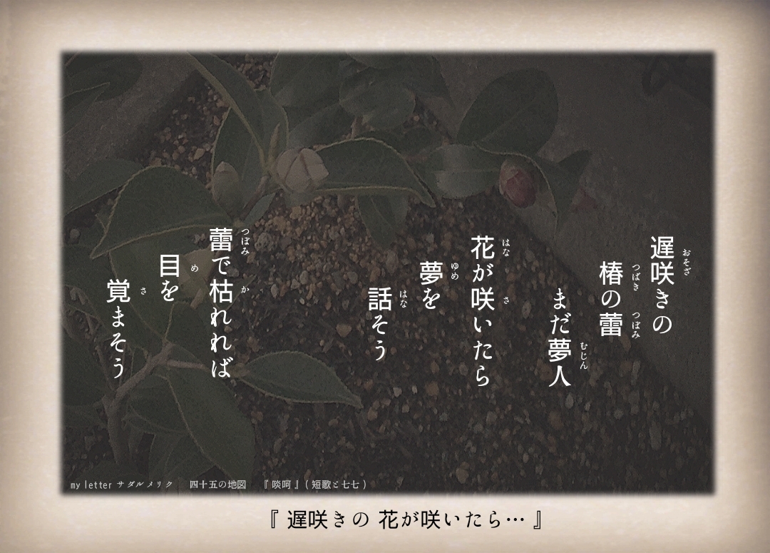 f:id:mylittlesadalusuudo:20210906145706j:plain