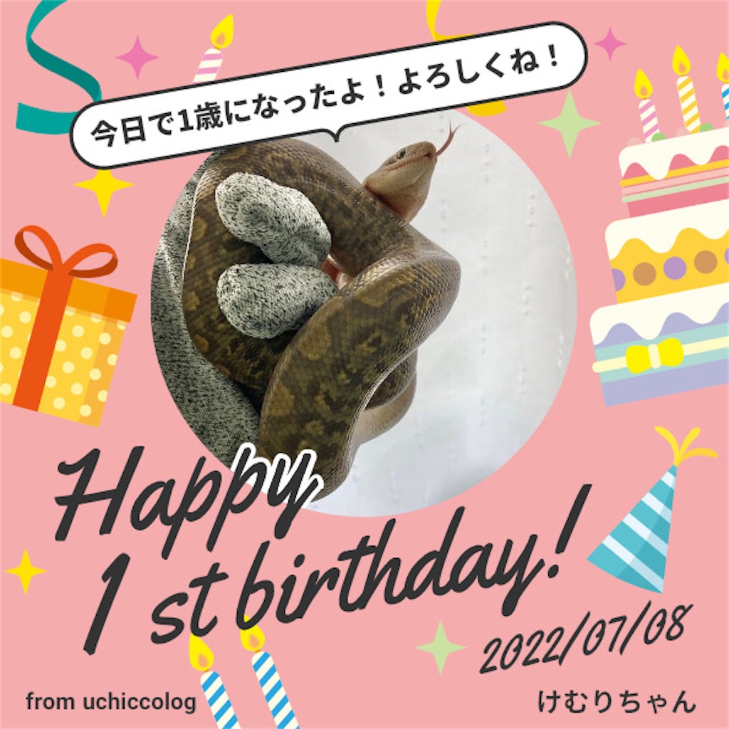 f:id:mylopharyngodon:20220730154903j:image