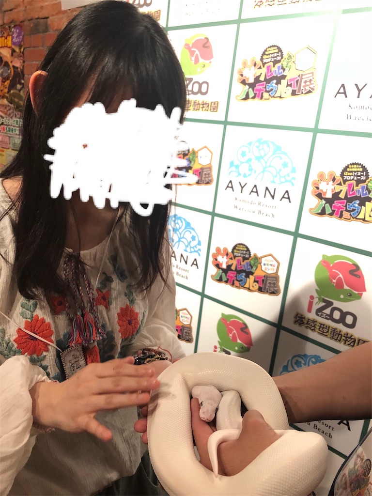 f:id:mylopharyngodon:20221016132147j:image
