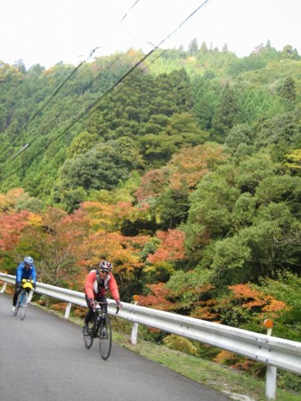f:id:mymy1020:20101118193253j:image