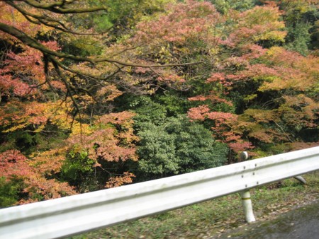 f:id:mymy1020:20101118193255j:image